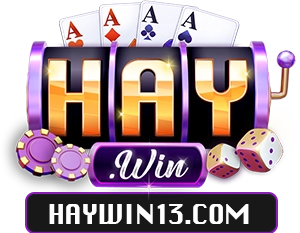 haywin13.com