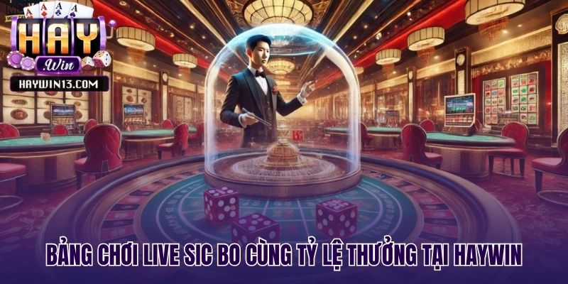Bảng cược live sic po hiển thị các tỷ lệ thưởng hấp dẫn
