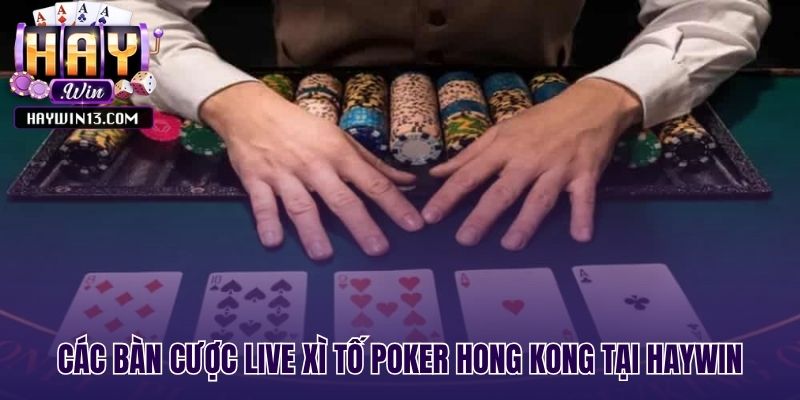 Các bàn live xì tố đa dạng tại Haywin
