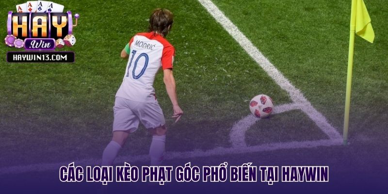 Các hình thức cược phổ biến từ Tài Xỉu đến 1X2