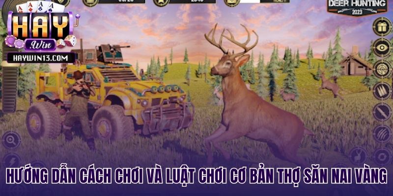 Luật chơi cơ bản giúp bạn trở thành thợ săn nai vàng chuyên nghiệp