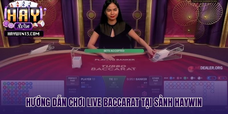 Các bước tham gia bàn cược live baccarat tại Haywin