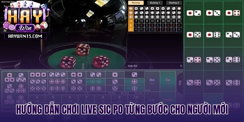 Quy trình 5 bước đơn giản để bắt đầu chơi live sic po