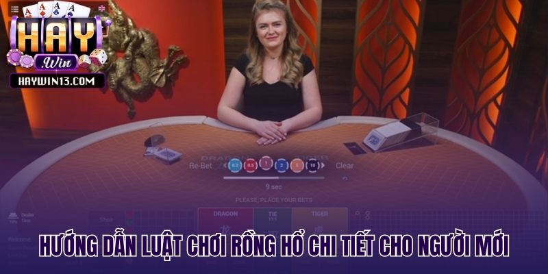 Luật chơi live Rồng Hổ từ cách tính điểm đến các cửa cược