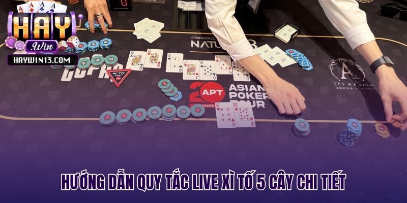 Luật chơi live xì tố 5 cây chi tiết cho người mới