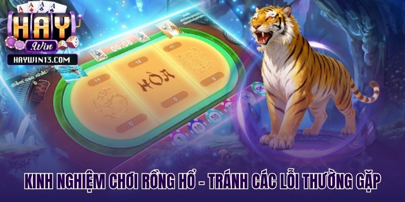 Quản lý vốn và kỷ luật khi chơi live Rồng Hổ