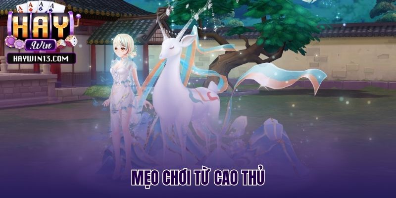 Chiến lược quản lý vốn và tận dụng chế độ chơi thử