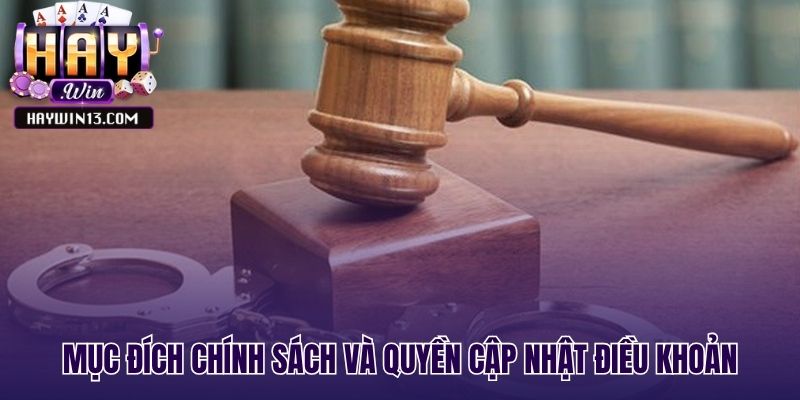 Làm rõ mục đích chính sách và quyền cập nhật điều khoản