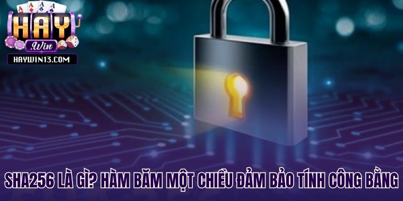 SHA256 tạo dấu vân tay số duy nhất không thể sửa đổi