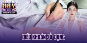 điều khoản sử dụng