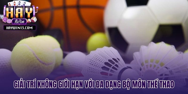 Đa dạng bộ môn thể thao từ bóng đá đến quần vợt