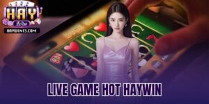 live game hot Haywin