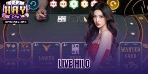 live hilo