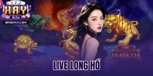 live long hổ