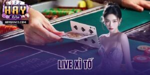 live xì tố