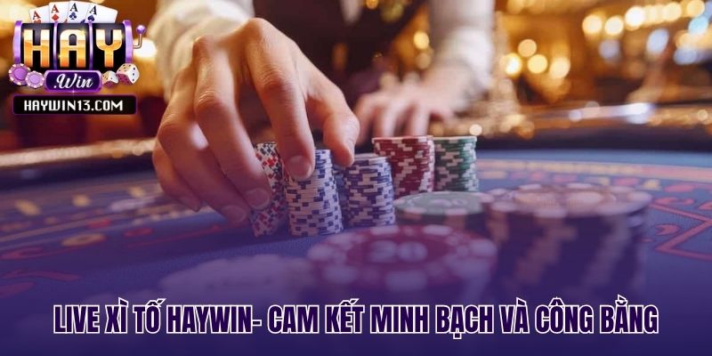 Live xì tố Haywin minh bạch qua livestream đa góc