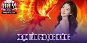 ngọn lửa phượng hoàng